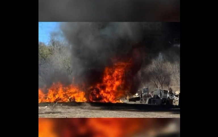 La FGR destruye nueve toneladas de droga en Sinaloa y exhibe la escala del mercado ilícito