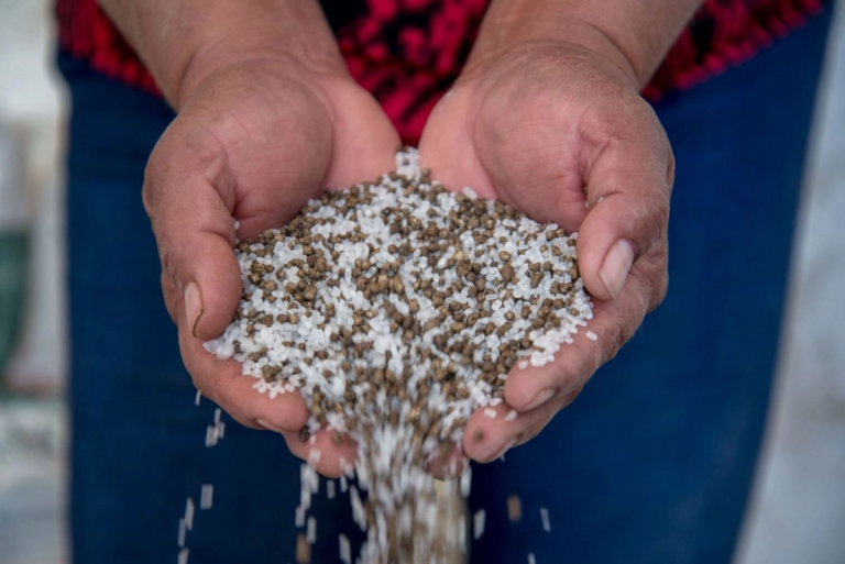 Bloqueo de fertilizantes en Ormuz puede provocar «una crisis humanitaria de gran magnitud»: ONU