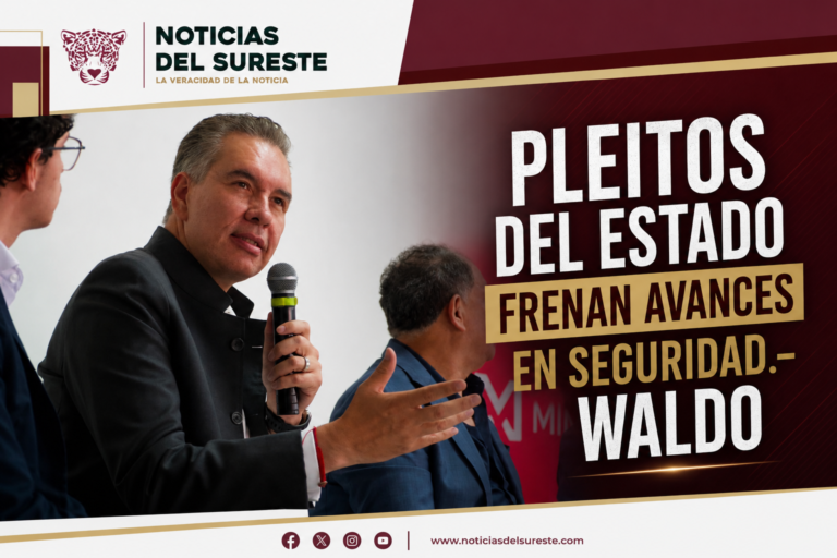 Pleitos del Estado frenan avances en seguridad.- Waldo
