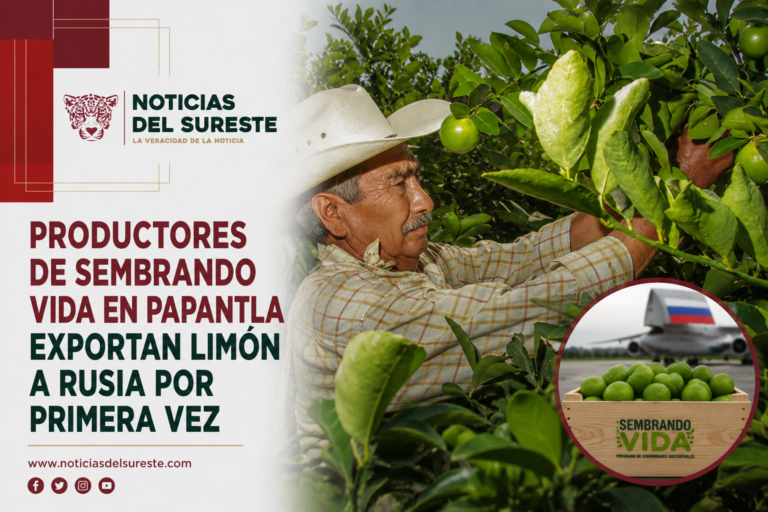 Productores de Sembrando Vida en Papantla exportan limón a Rusia por primera vez