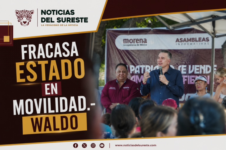 Fracasa Estado en movilidad.- Waldo