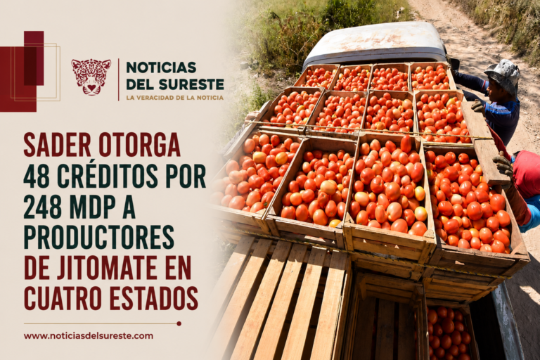 Sader otorga 48 créditos por 248 mdp a productores de jitomate en cuatro estados