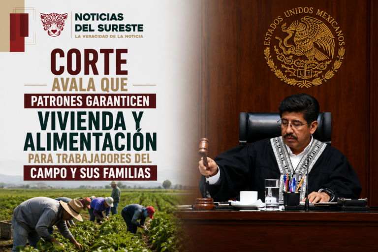 Corte avala que patrones garanticen vivienda y alimentación para trabajadores del campo y sus familias