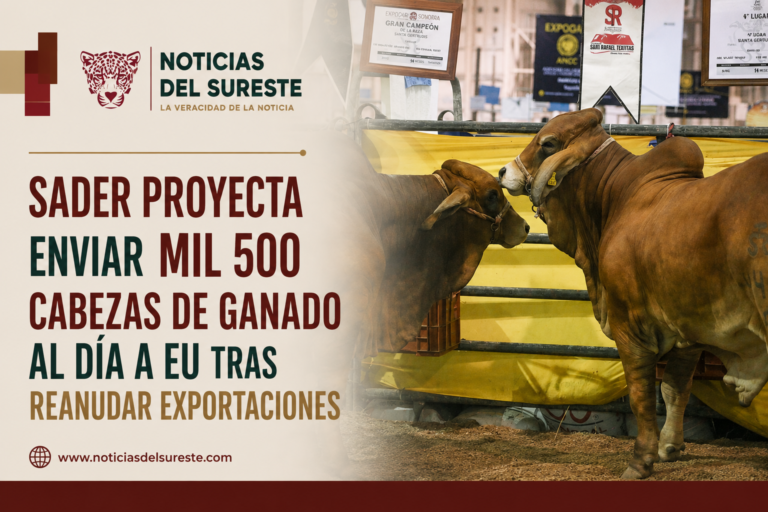 Sader proyecta enviar mil 500 cabezas de ganado al día a EU tras reanudar exportaciones