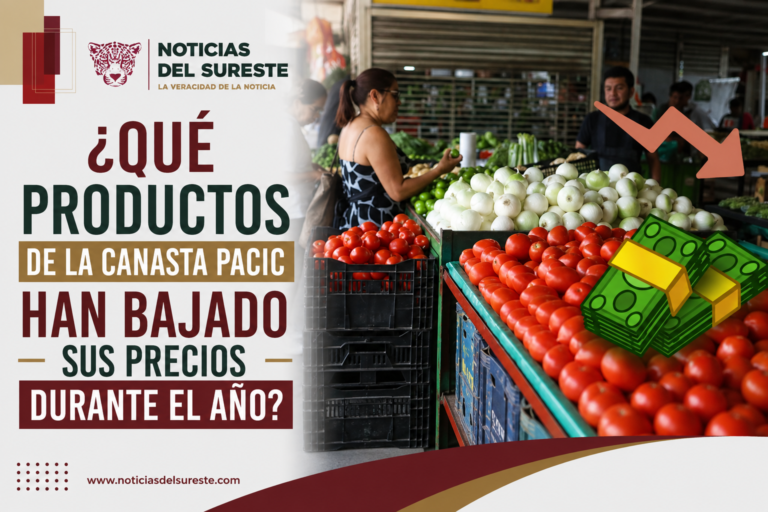 ¿Qué productos de la canasta Pacic han bajado sus precios durante el año?