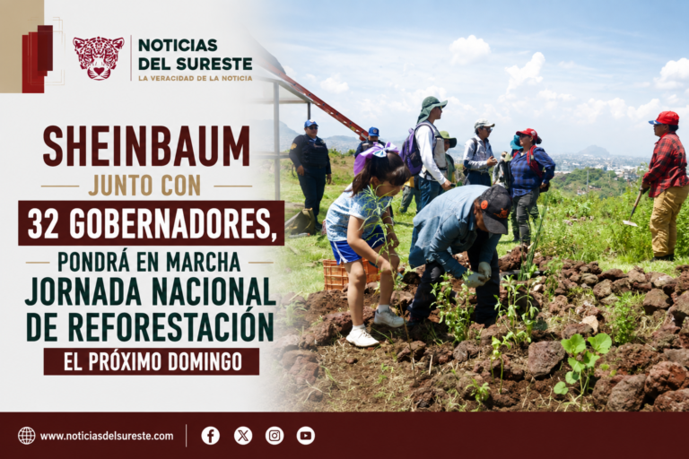Sheinbaum junto con 32 gobernadores, pondrá en marcha Jornada Nacional de Reforestación el próximo domingo