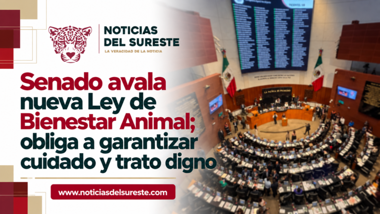 Senado avala nueva Ley de Bienestar Animal; obliga a garantizar cuidado y trato digno