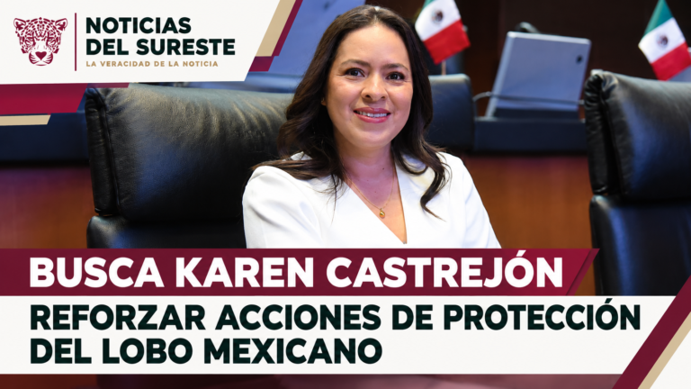 BUSCA KAREN CASTREJÓN REFORZAR ACCIONES DE PROTECCIÓN DEL LOBO MEXICANO