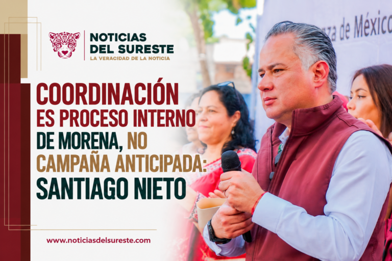 Coordinación es proceso interno de Morena, no campaña anticipada: Santiago Nieto
