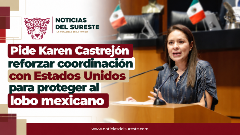 Pide Karen Castrejón reforzar coordinación con Estados Unidos para proteger al lobo mexicano
